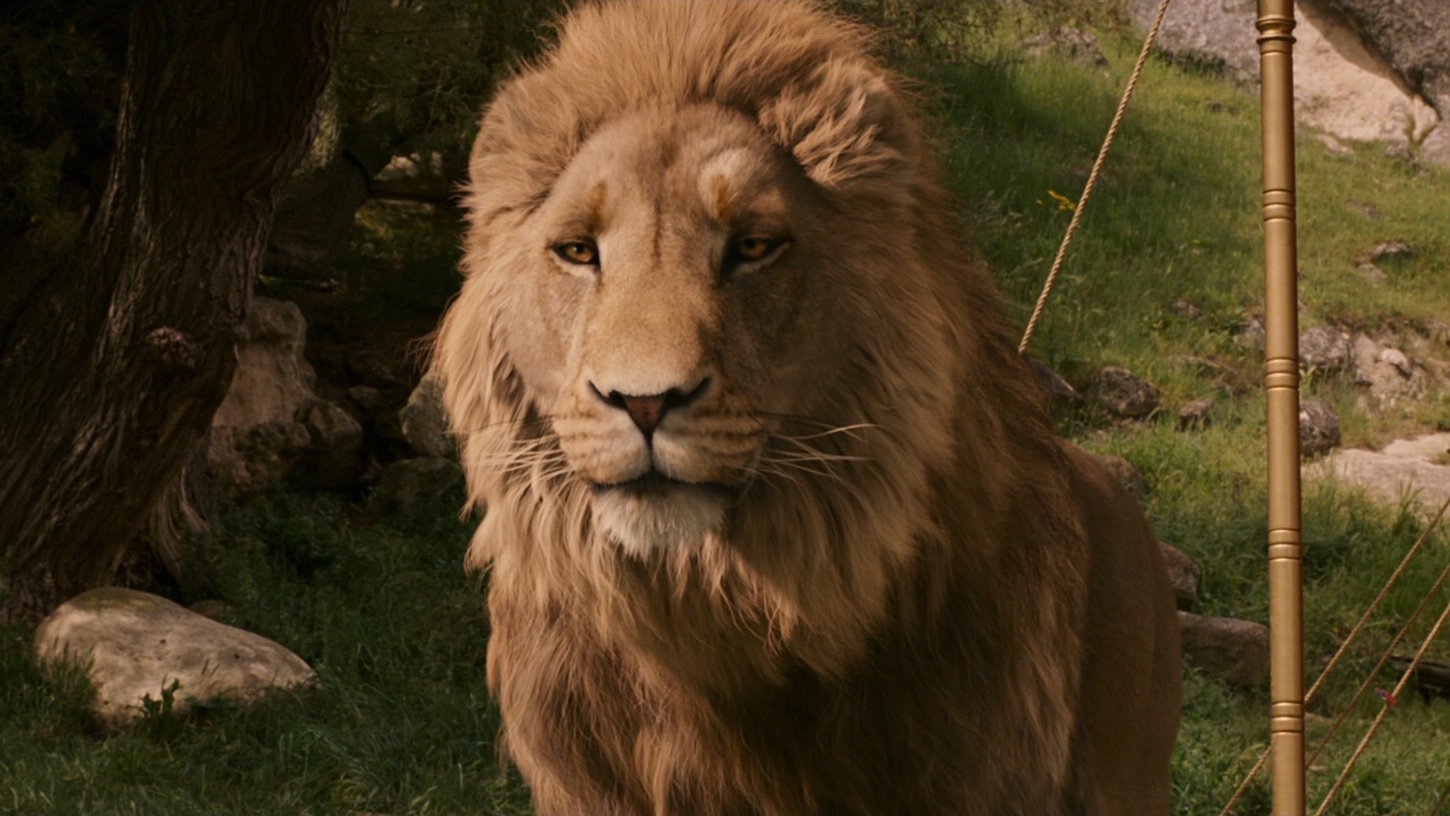 What Is Aslan Other Name