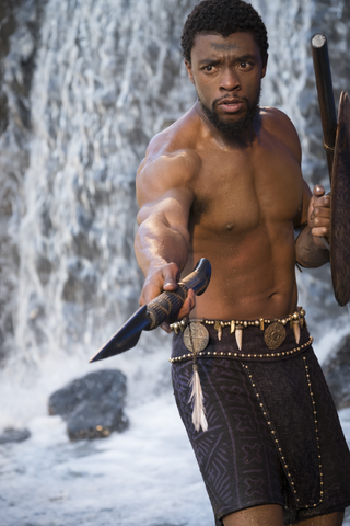 File:Black Panther photography 7.png
