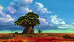 Rafiki's Baobab Tree