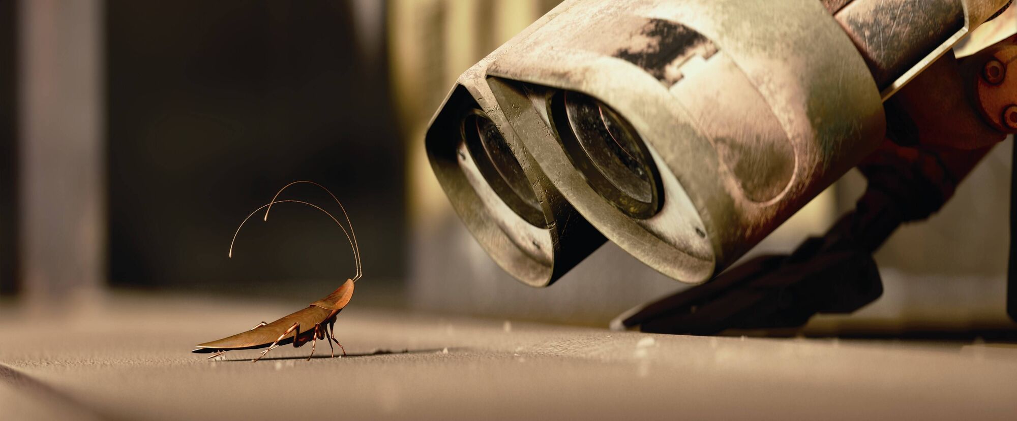 Image Walle and Cockroach.jpg Disney Wiki FANDOM powered by Wikia