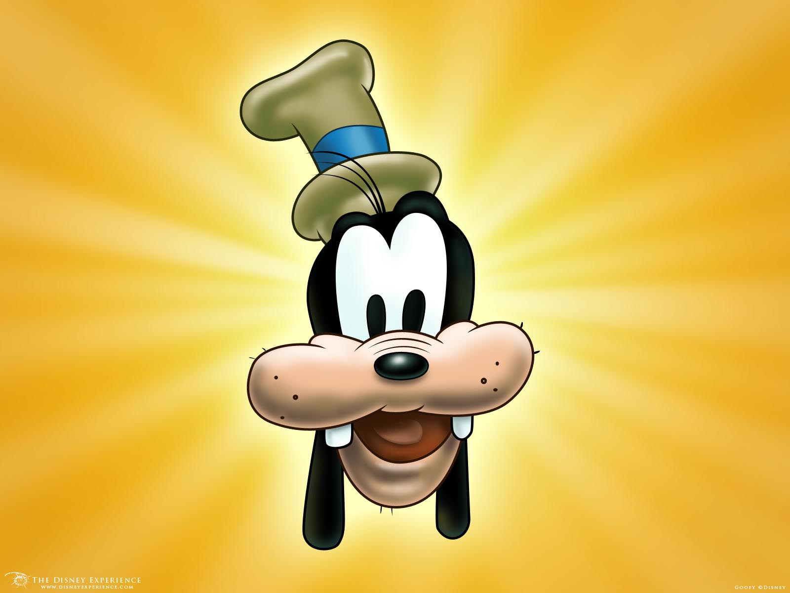 goofy pictures goofy pictures