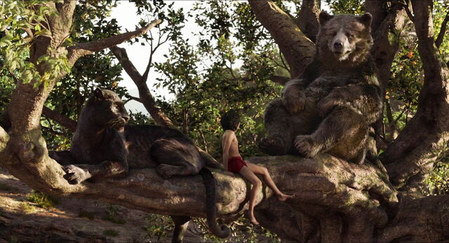 File:Jungle-book-2016-disneyscreencaps.com-11342.jpg