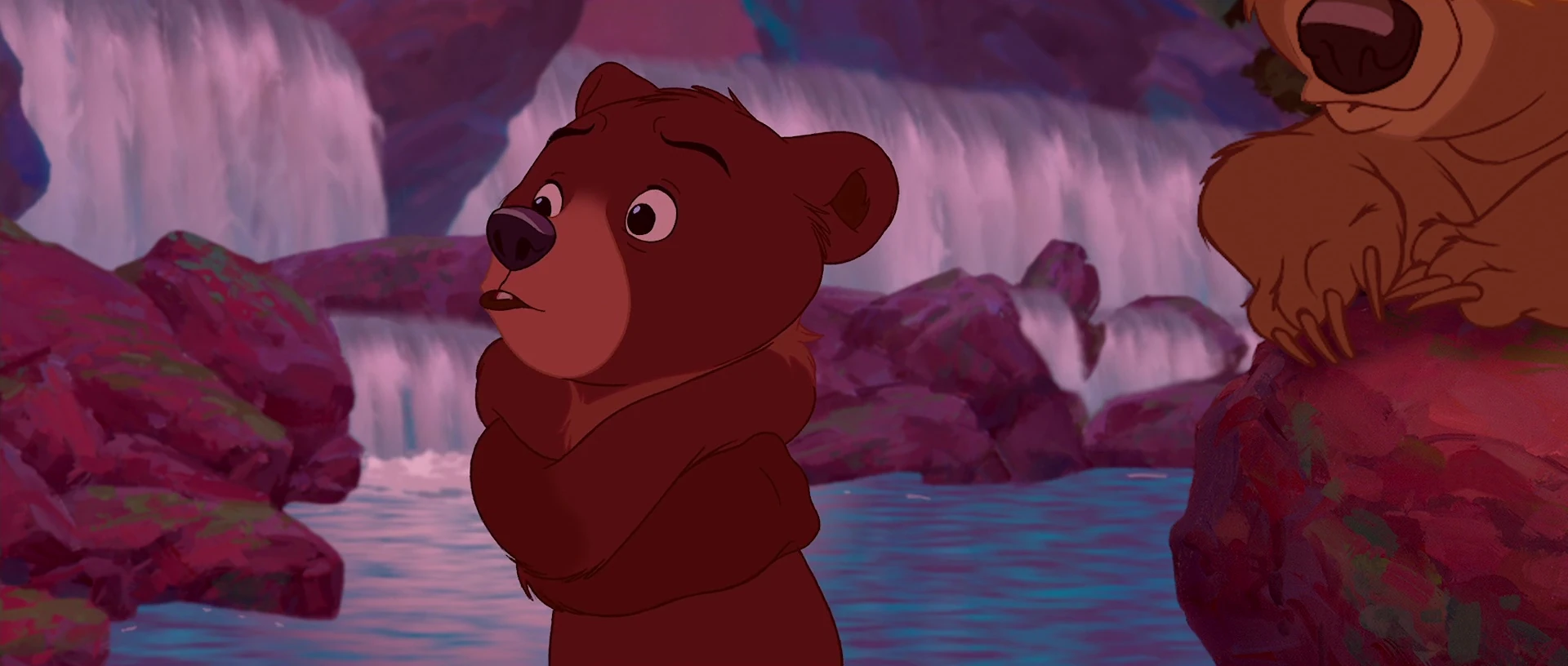 Image Koda 1.jpg Disney Wiki FANDOM powered by Wikia