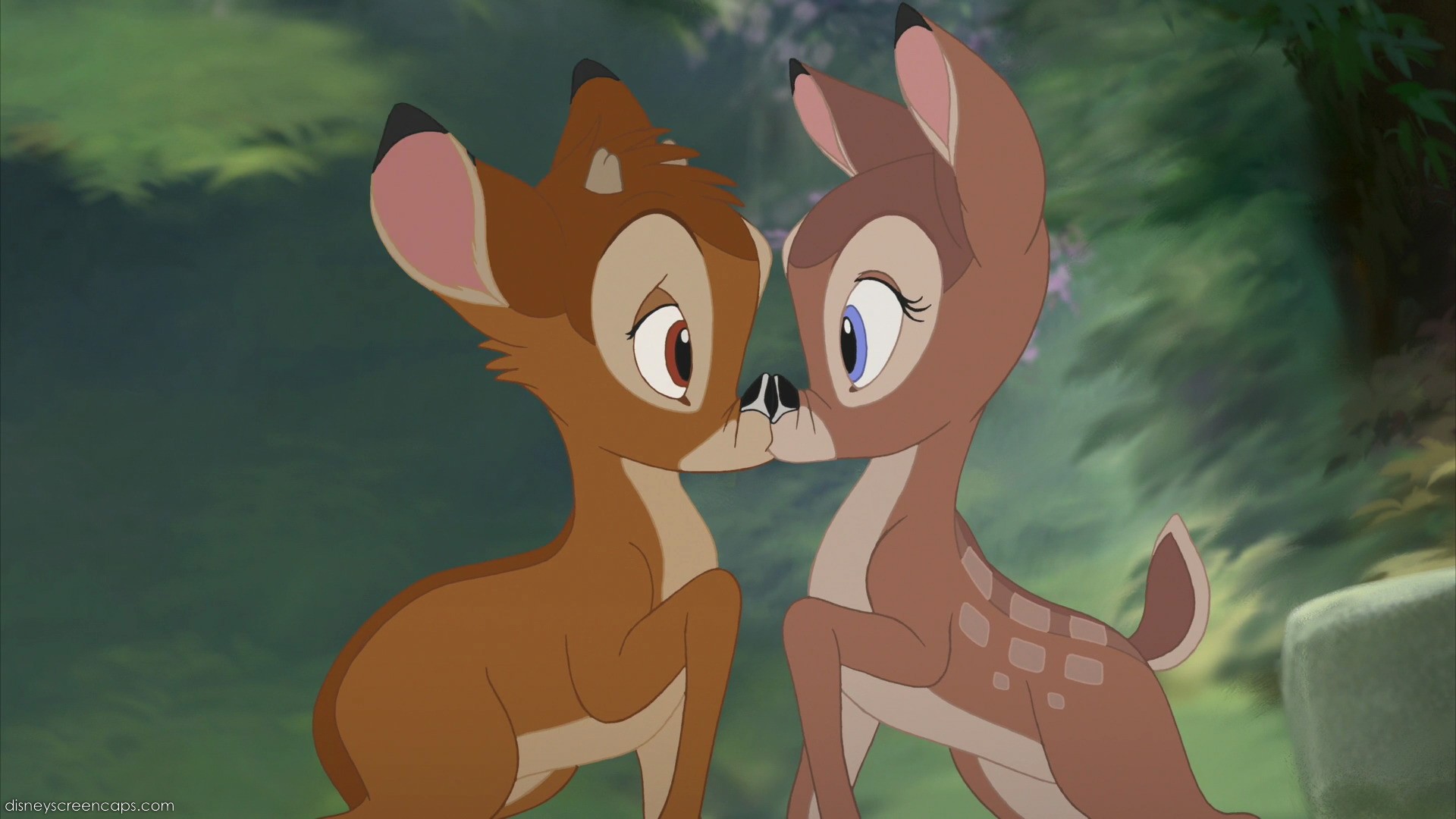 Image - Bambi2-disneyscreencaps.jpg | Disney Wiki | FANDOM powered by Wikia