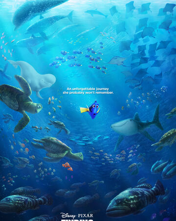 Finding Dory Disney Wiki Fandom