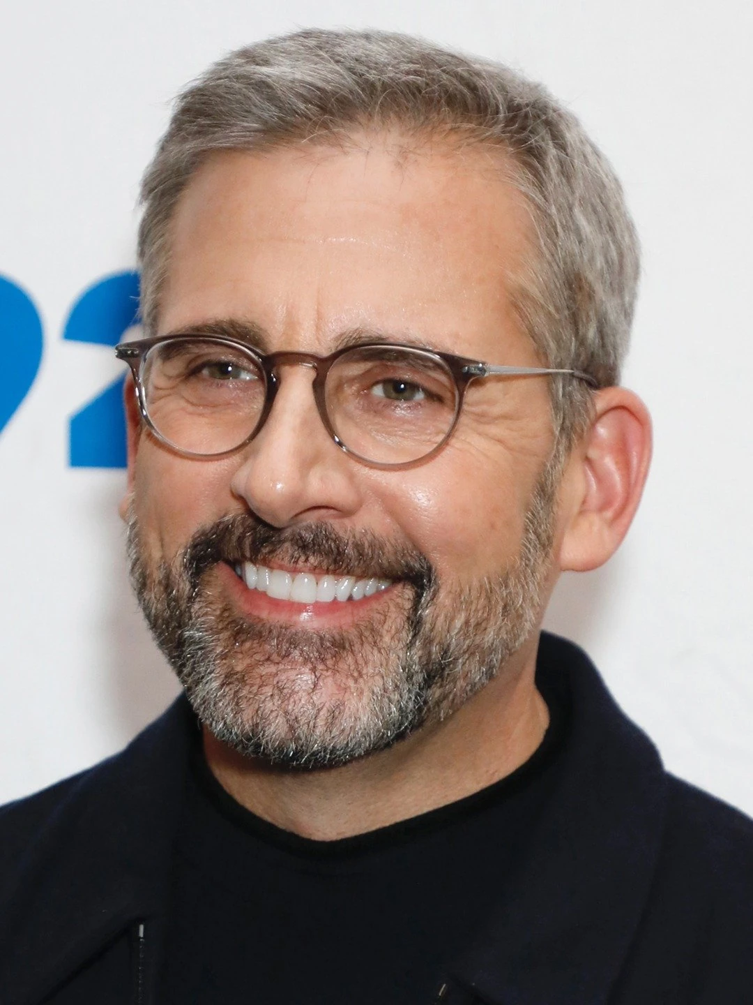 Steve Carell Disney Wiki FANDOM powered by Wikia