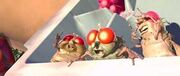 Moscas