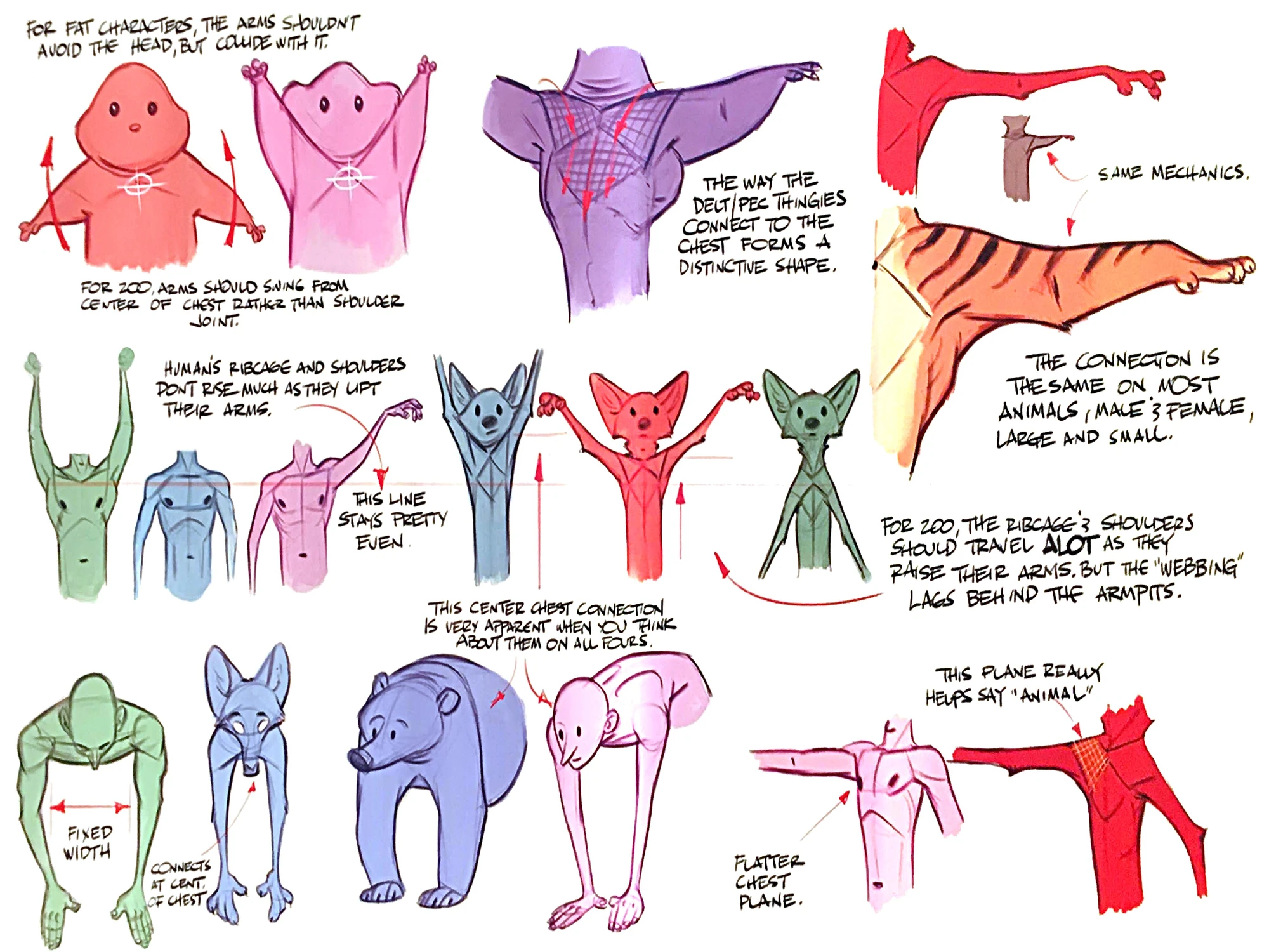 Image Zootopia animal anatomy.jpg Disney Wiki FANDOM powered by Wikia