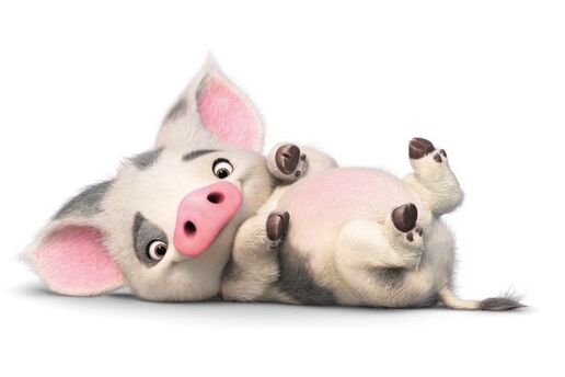 What Is The Pig S Name In Moana 99degree