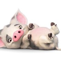 Pua Moana Disney Wiki Fandom