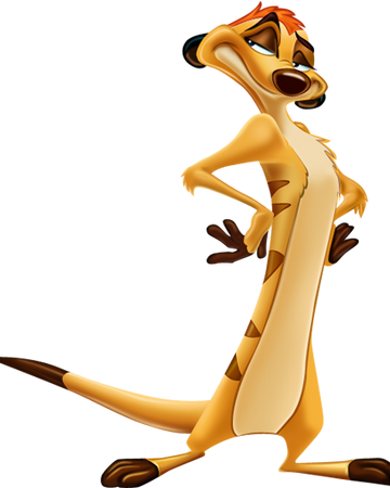 Timon Disney Wiki Fandom