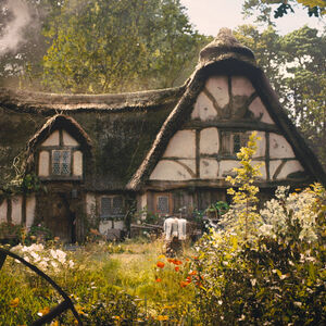 Aurora S Cottage Disney Wiki Fandom