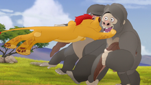 The-lost-gorillas (61)