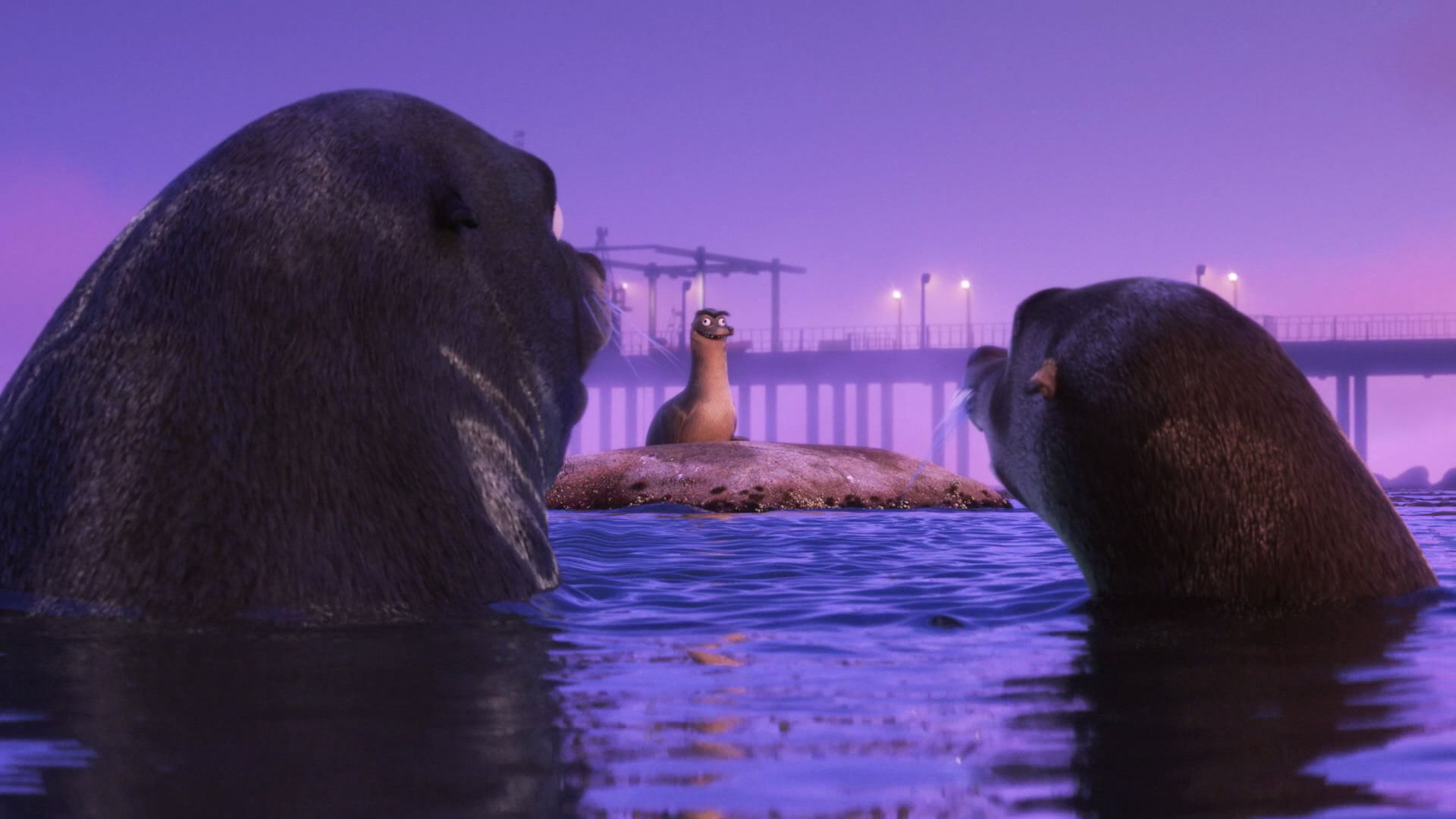fluke finding dory fluke finding dory