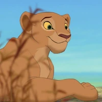 Mother Lioness After A Battle With A Predator While Protecting Her