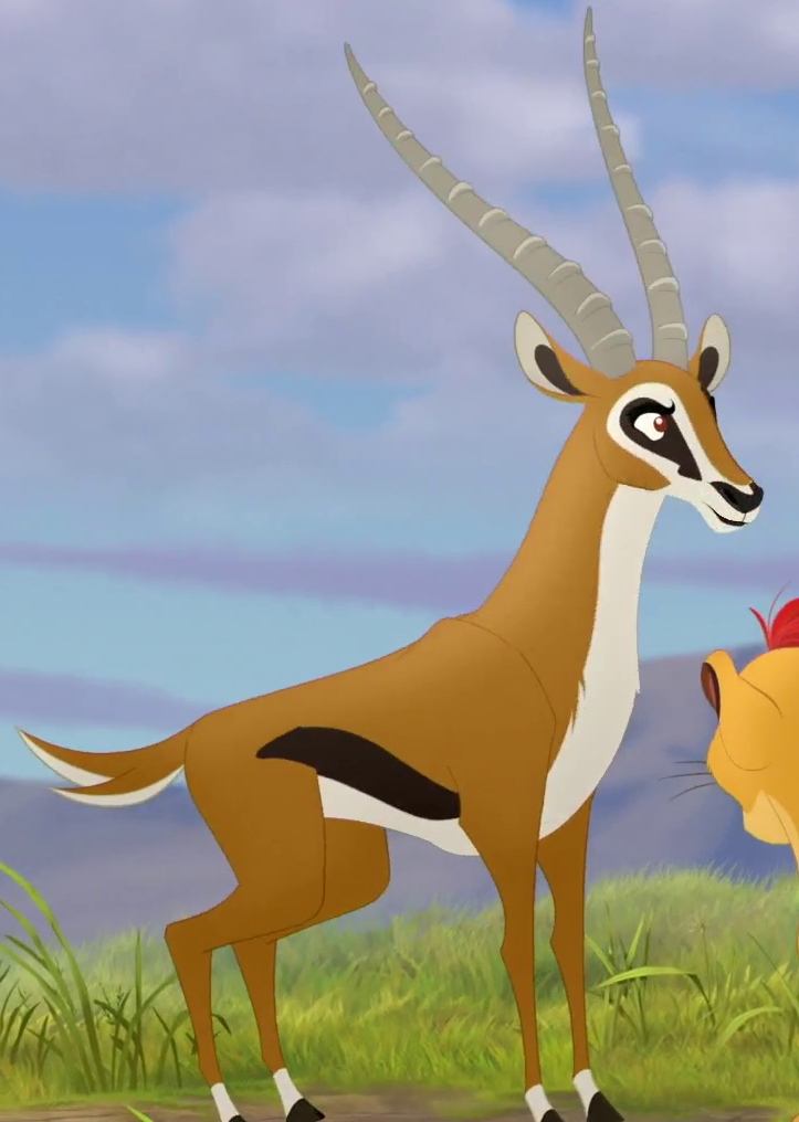 Gazelle Tour Lion King Gazelle Tour Lion King