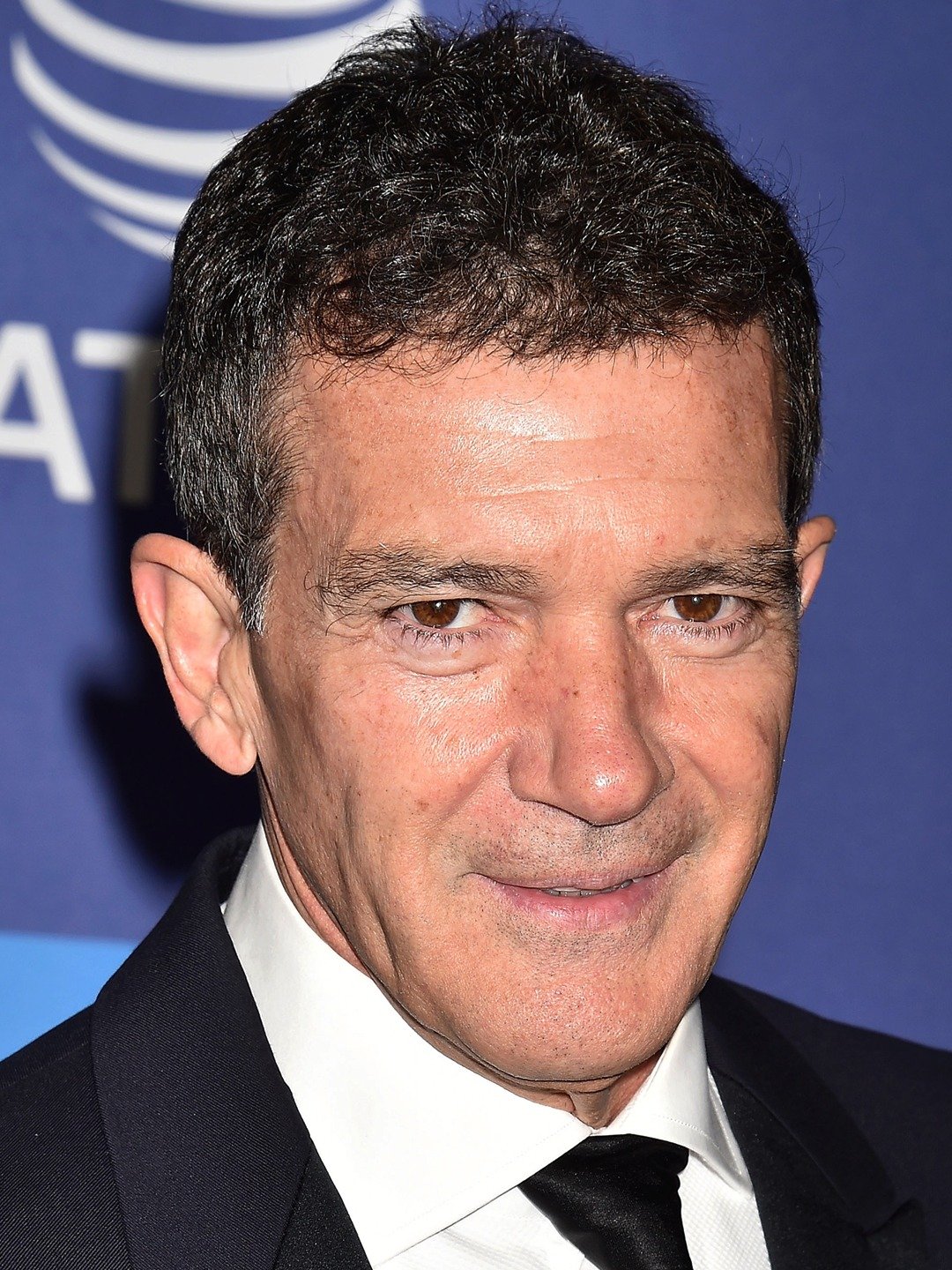 antonio banderas disney wiki fandom antonio banderas disney wiki fandom