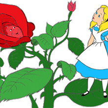 Flowers Of Wonderland Gallery Disney Wiki Fandom