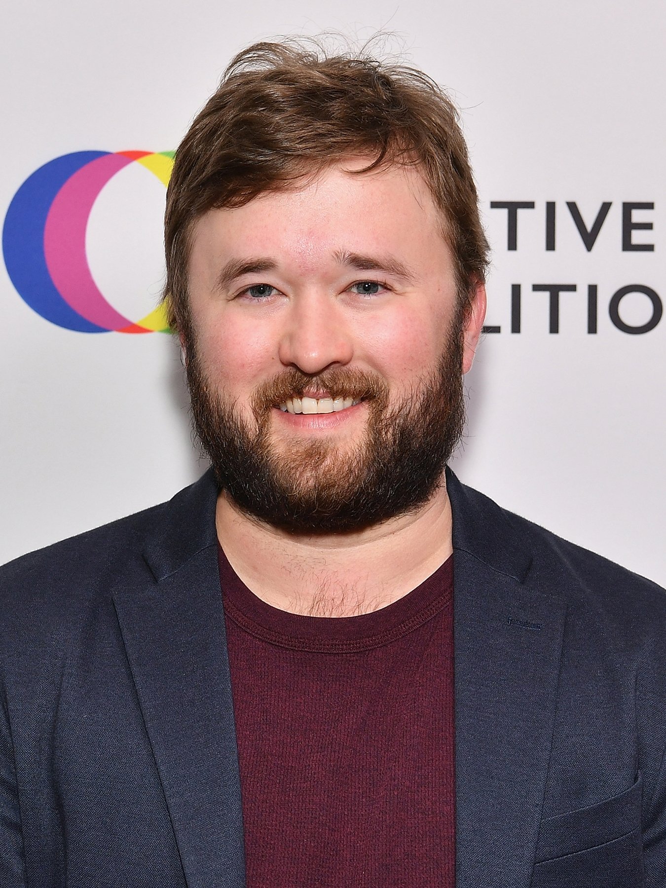 Haley Joel Osment | Disney Wiki | FANDOM powered by Wikia