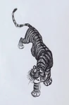 Shere Khan-bill Peet04