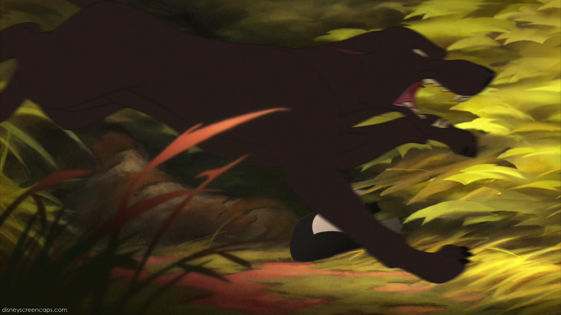 Image - Bambi2-disneyscreencaps.com-6397.jpg | Disney Wiki | FANDOM