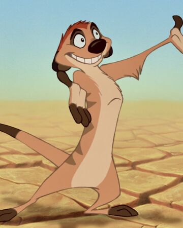 Timon Disney Wiki Fandom
