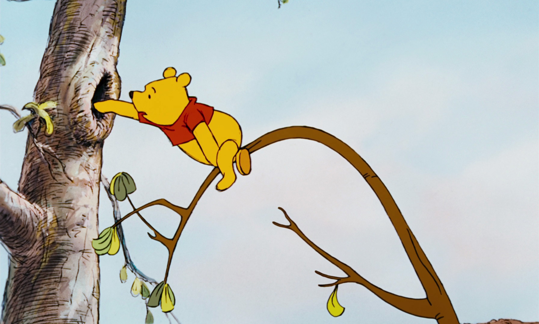 view master winnie the pooh and the honey tree