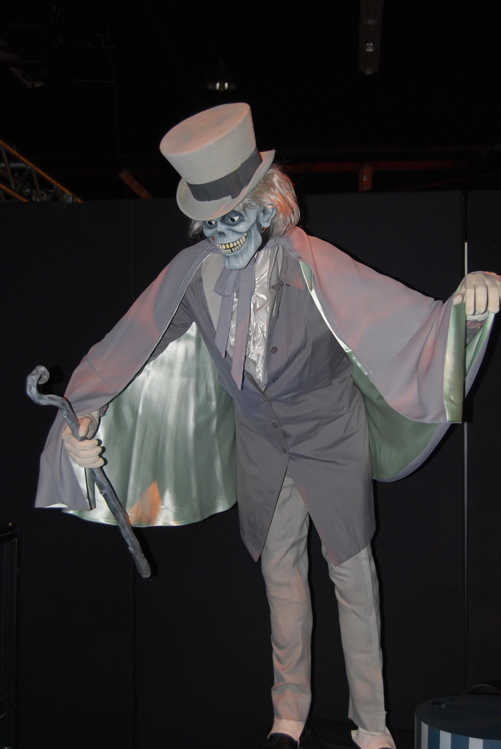 Image Hatbox ghost d23.jpg Disney Wiki FANDOM powered by Wikia