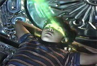 David Scan