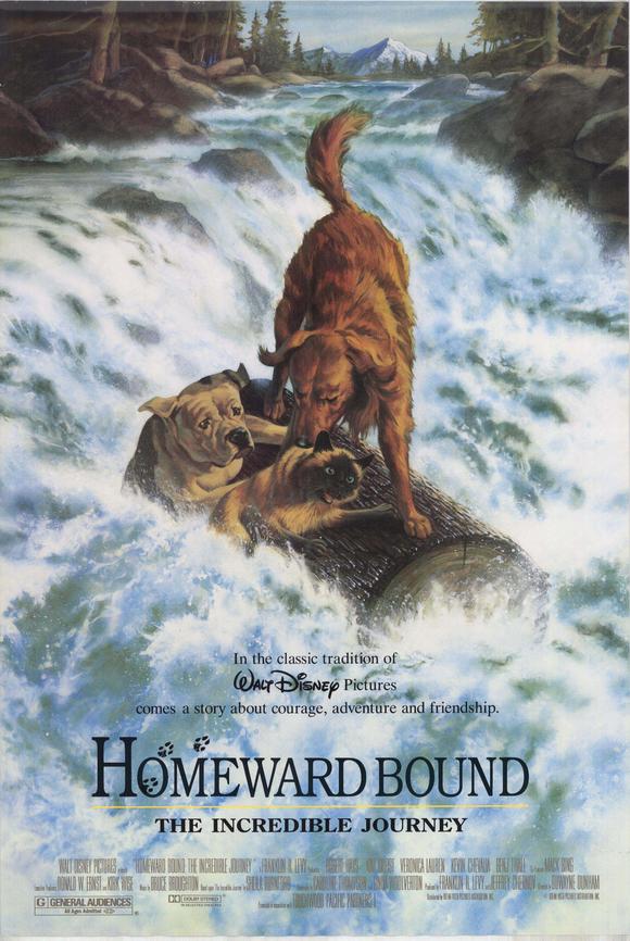 Homeward Bound The Incredible Journey Disney Wiki FANDOM Powered   Latest