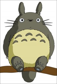 Totoro | Disney Wiki | Fandom