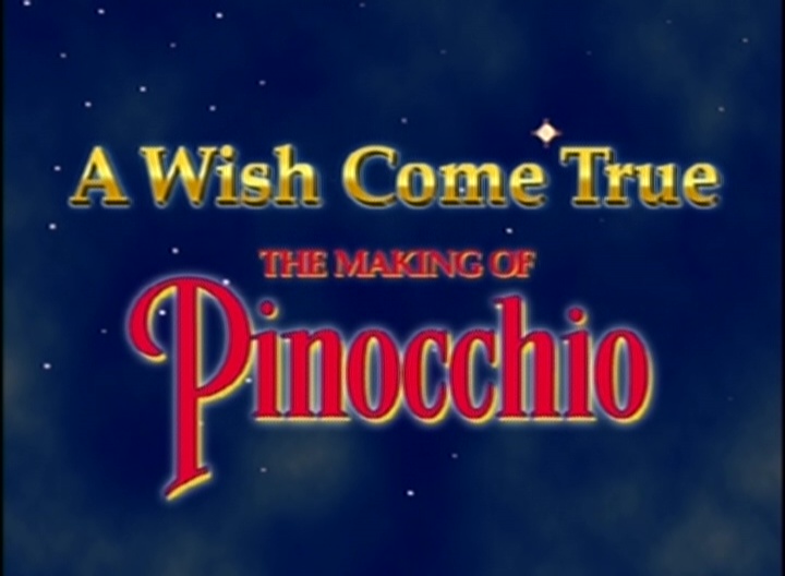 making wishes come true