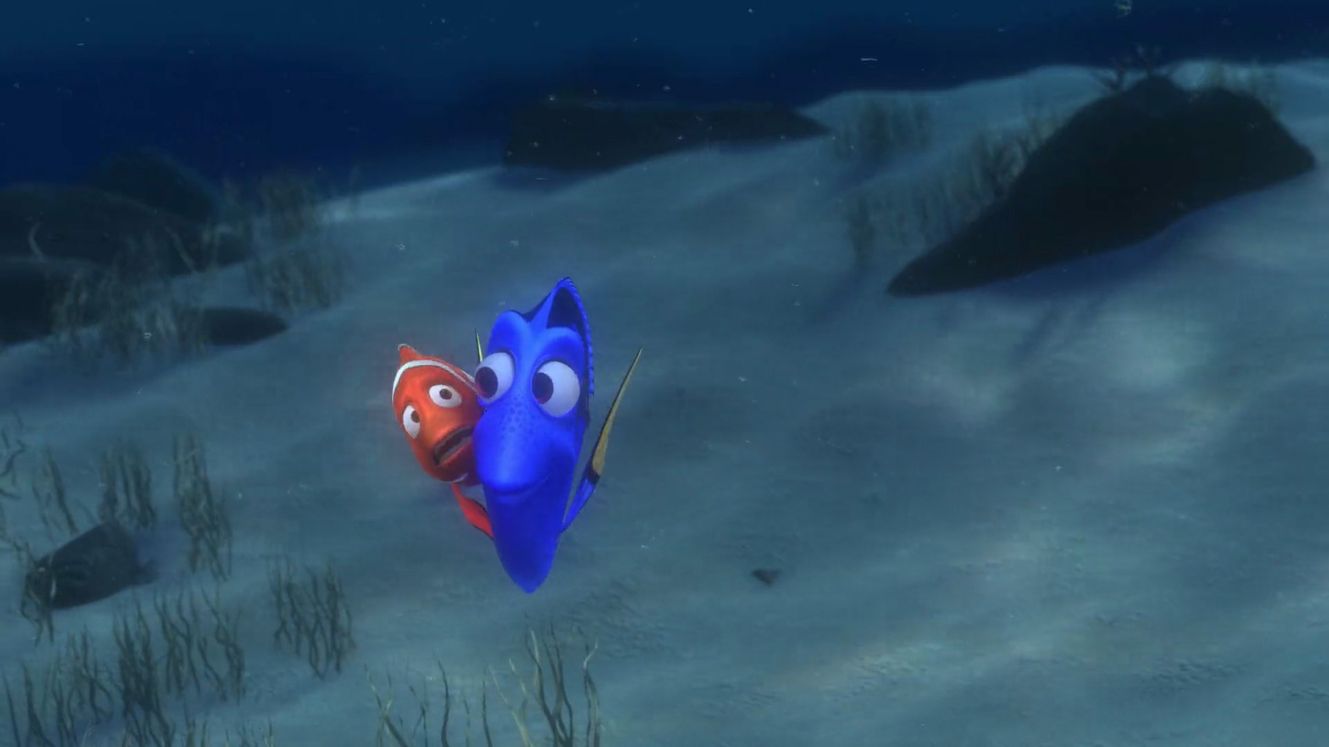 Image - Finding-nemo-disneyscreencaps.com-2114.jpg ...