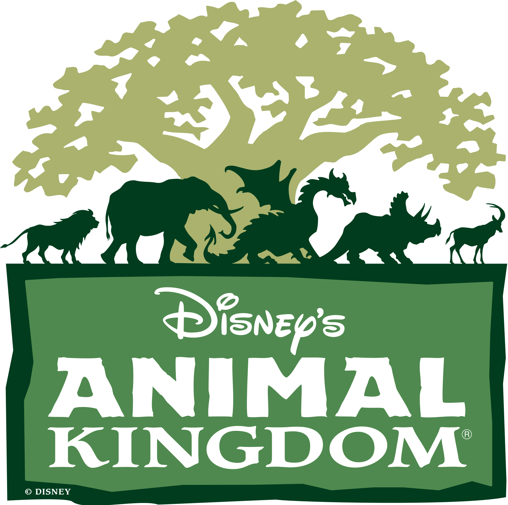 Image result for live music animal kingdom disney orlando