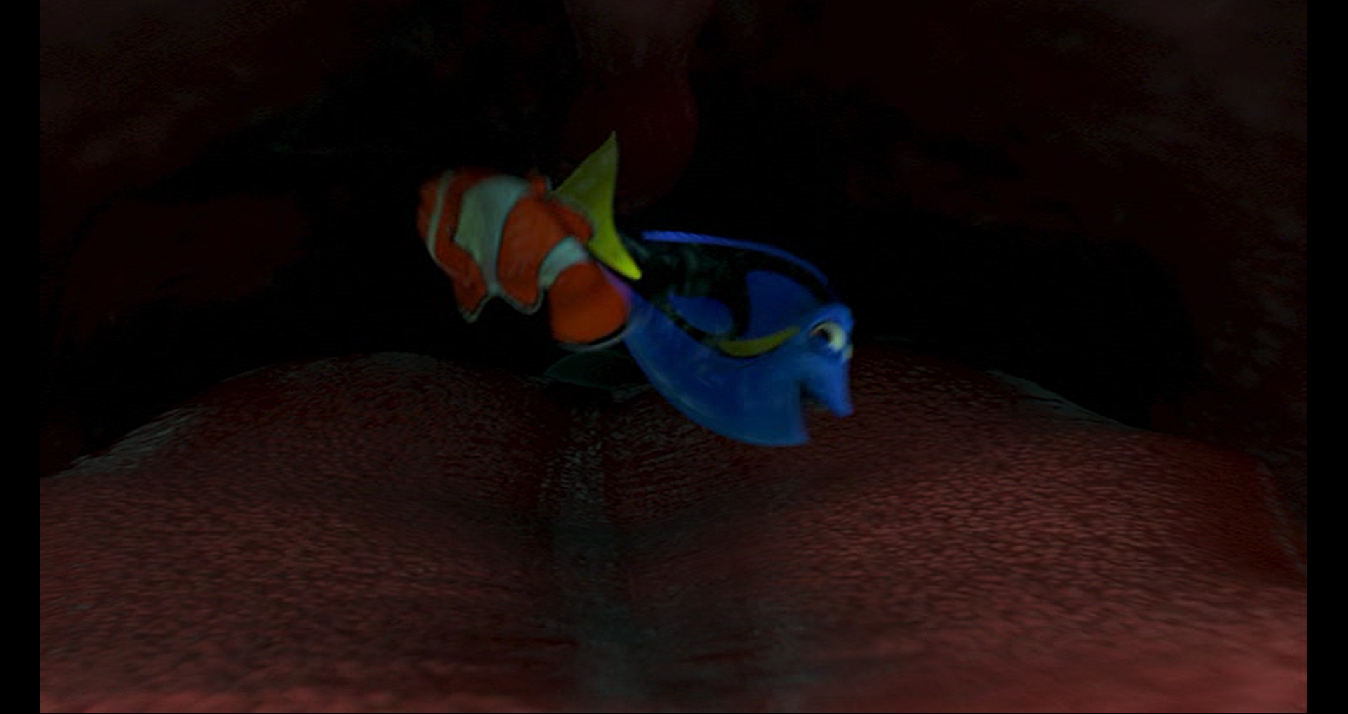 finding nemo whale finding nemo whale
