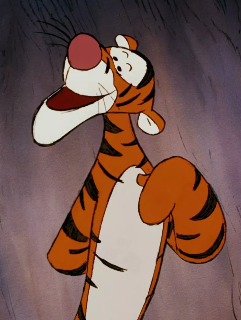 disney tigger hat
