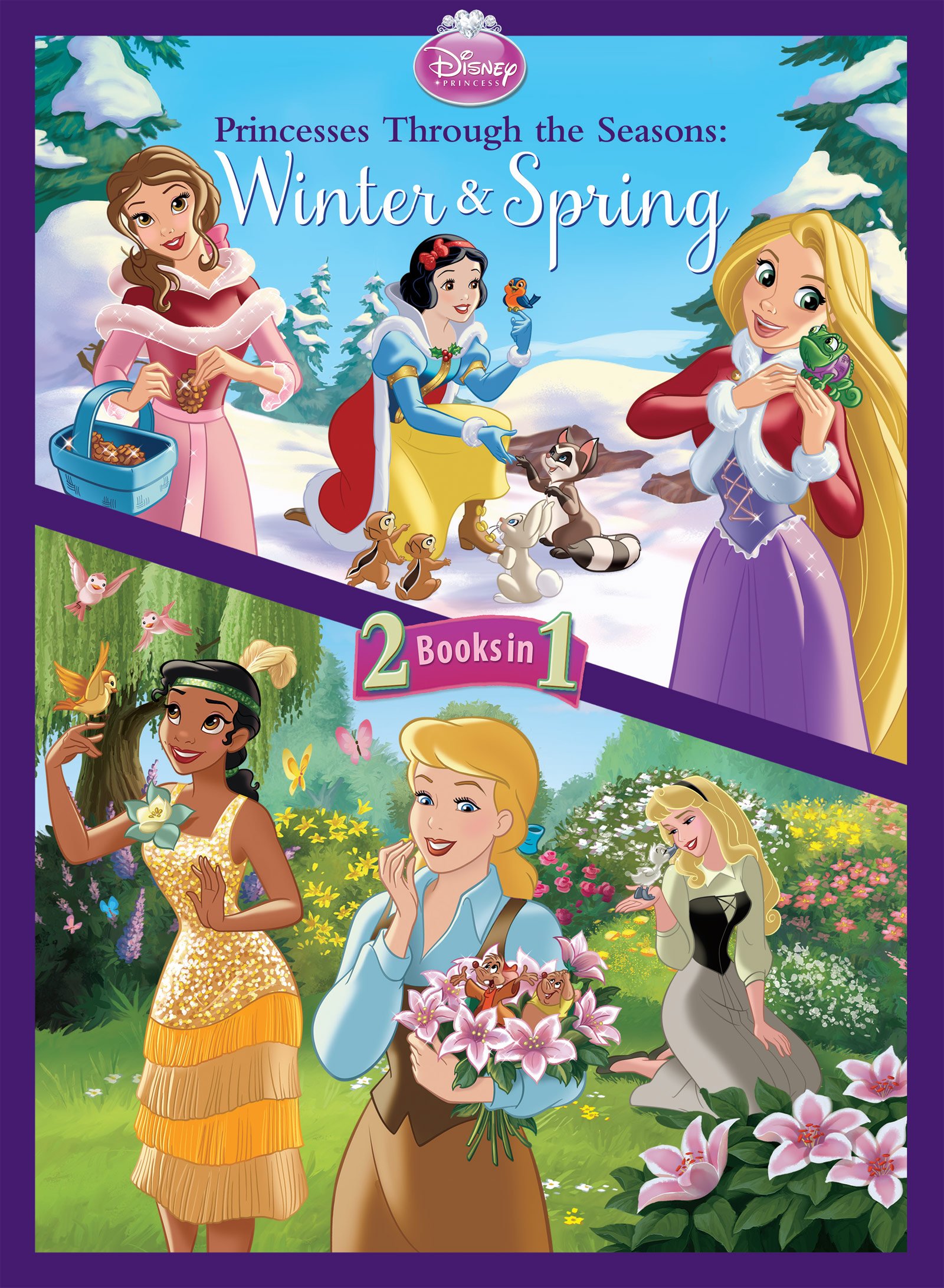 disney princess princesses through the seasons disney wiki