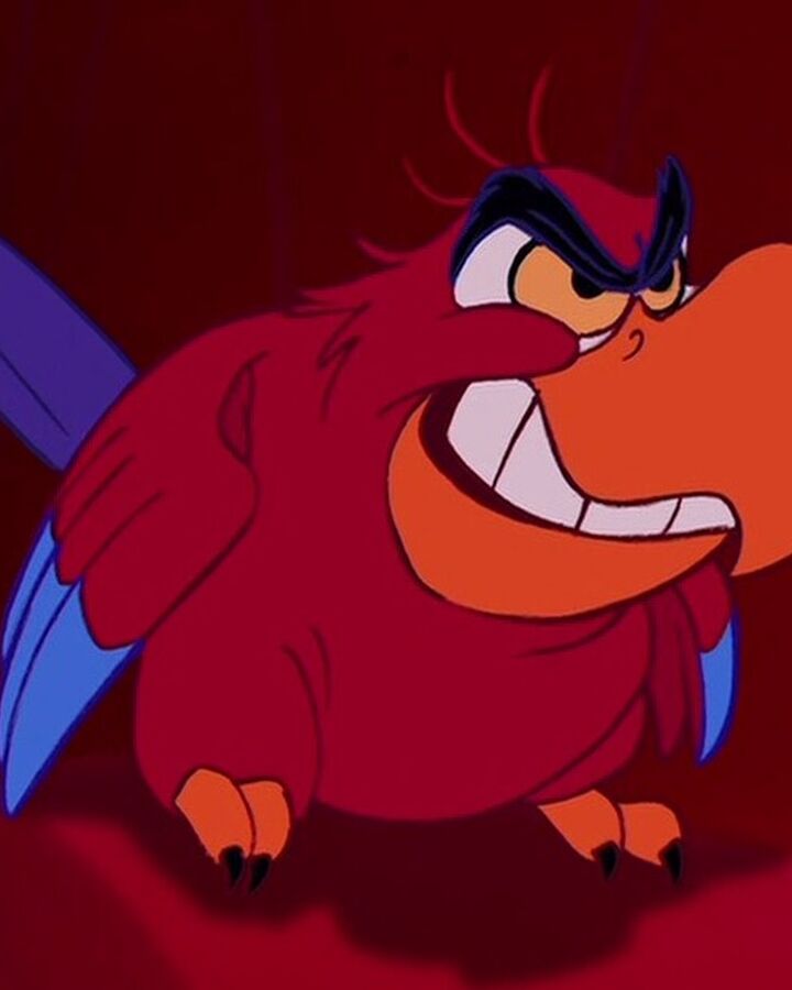 Iago Disney Wiki Fandom