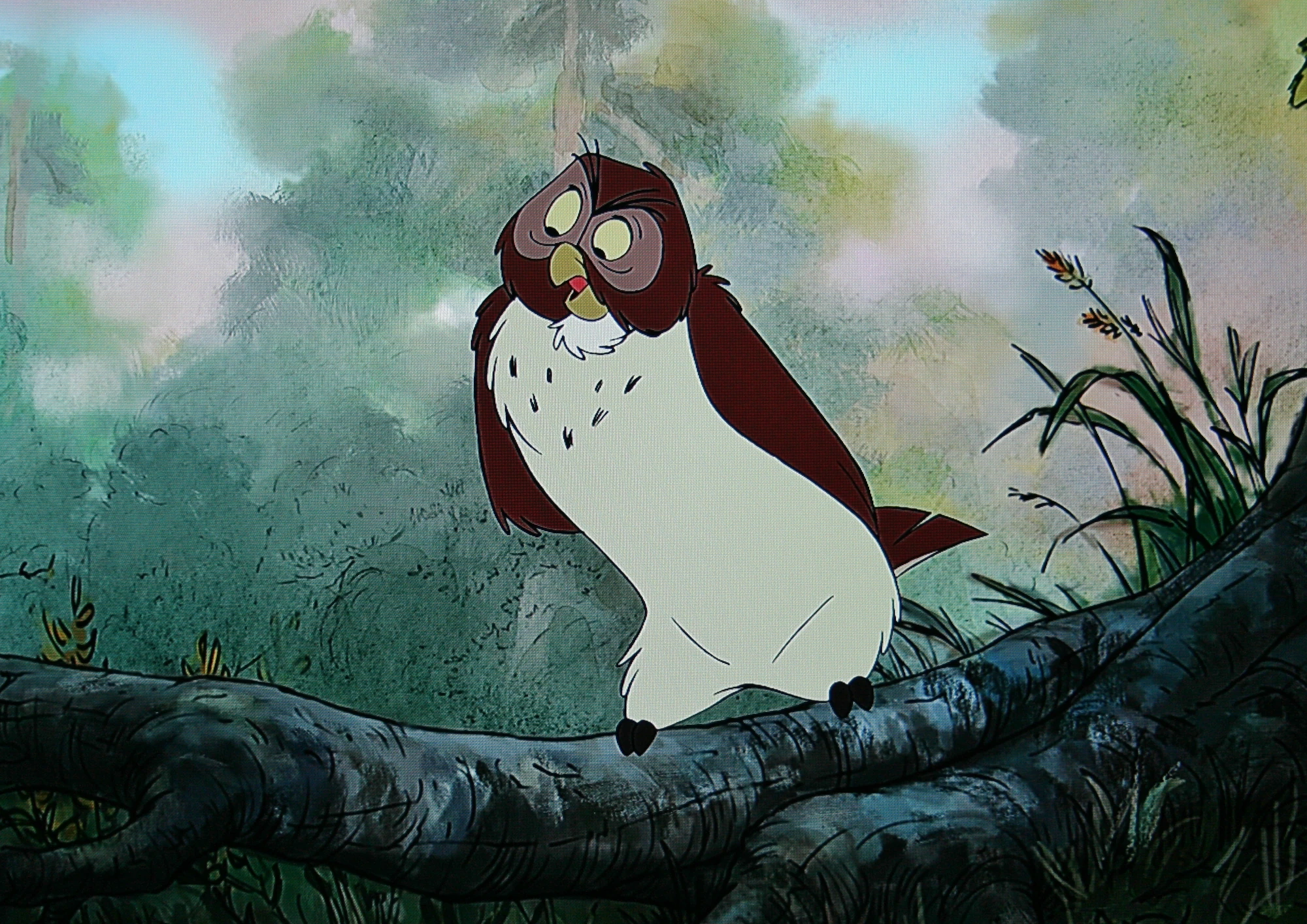 Image Owl.JPG Disney Wiki FANDOM powered by Wikia