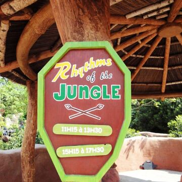 Download Free Rhythm Of The Jungle Disney Wiki Fandom PSD Mockup Template
