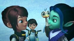 The Discovery Expedition 2