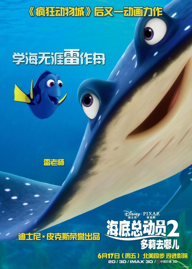 findy dory china