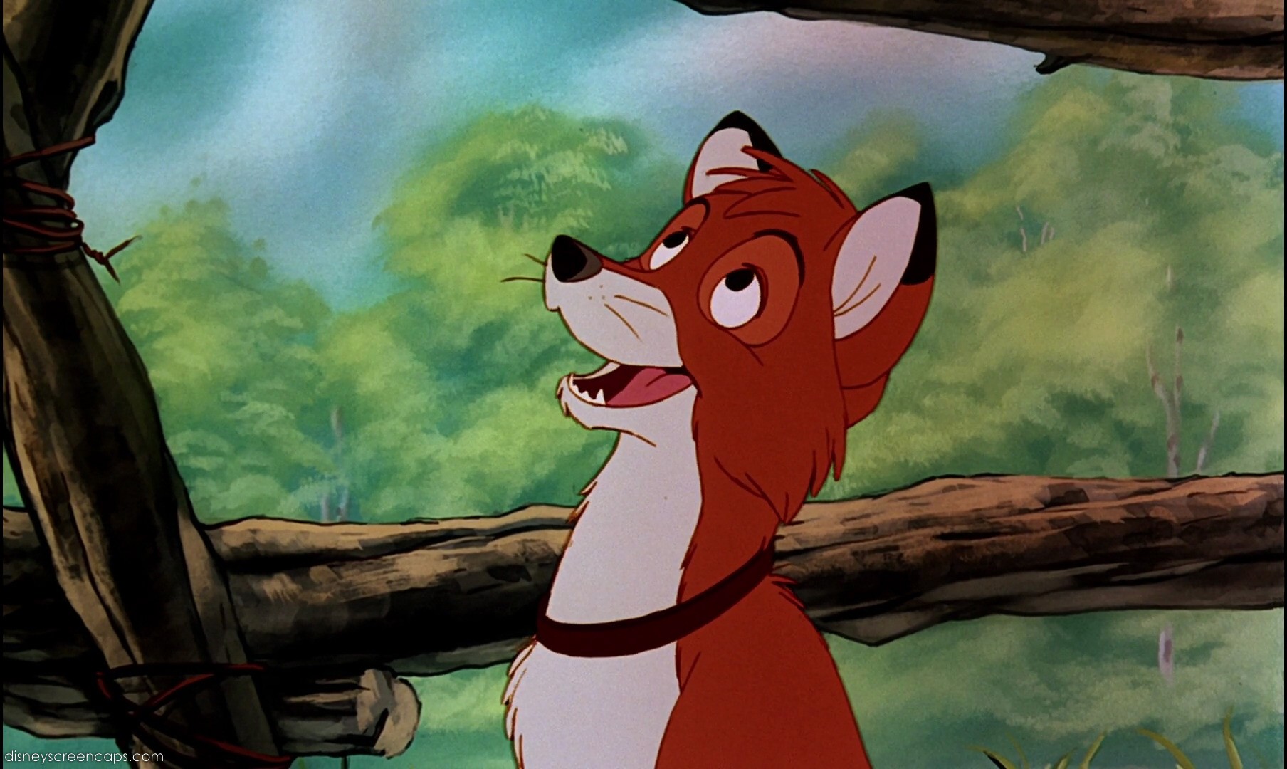 Image result for tod from fox and the hound