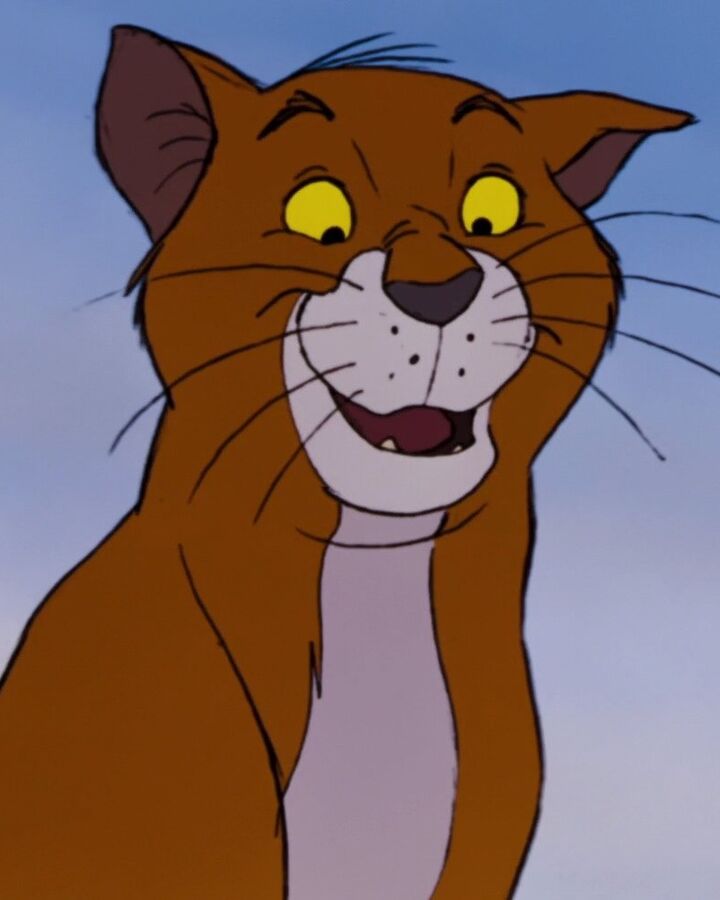 Thomas O Malley Disney Wiki Fandom