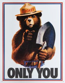 SmokeyBear