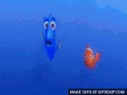 How To Speak Whale