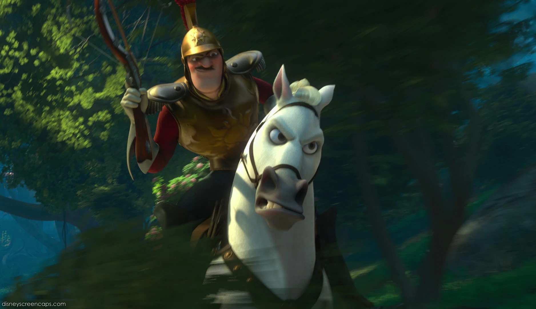 Captain of the Guards Disney Wiki FANDOM powered by Wikia