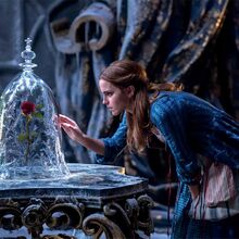 The Enchanted Rose Gallery Disney Wiki Fandom