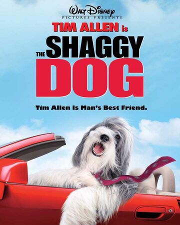 The Shaggy Dog 2006 Film Disney Wiki Fandom