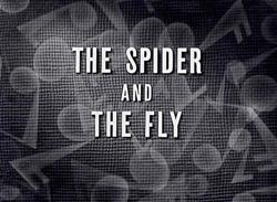 TheSpiderandthefly